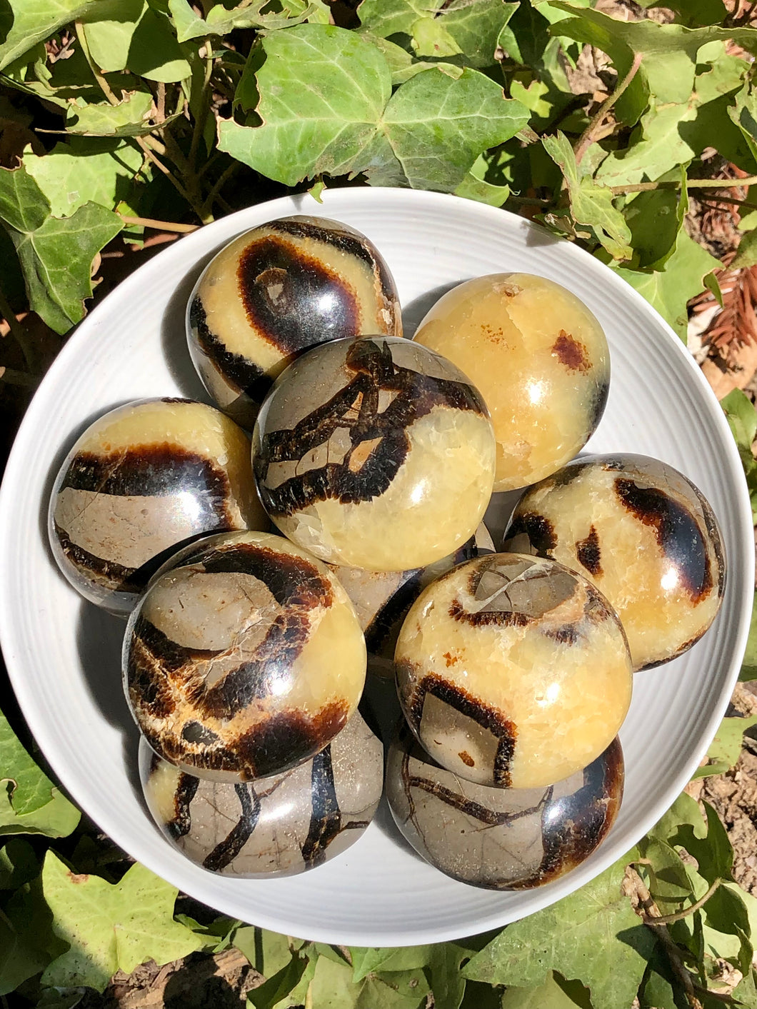 Septarian