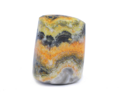 Bumblebee Jasper