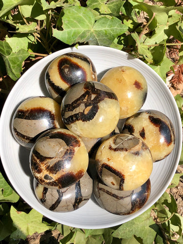 Septarian