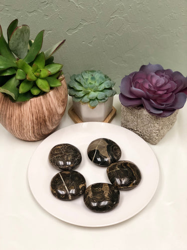 Stromatolite Palm Stone